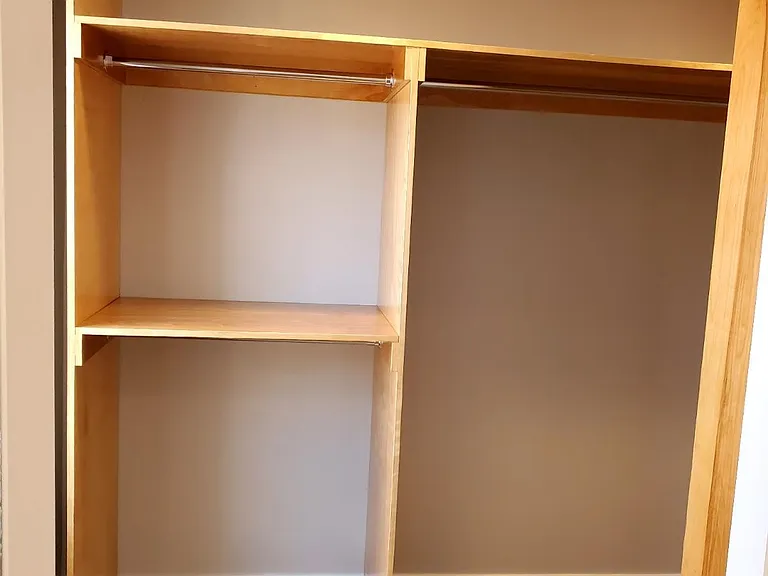 walk in closet pic 2