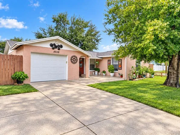 10110 MOORES MILL COURT, TAMPA, FL 33615
