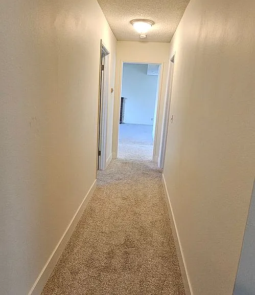 1406 Oak Knoll Rd — Photo 40