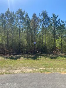 Stonegate Cir LOT 27, Perkinston, MS, 39573