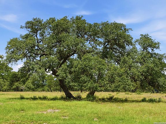 2nd image of 185 ACRES FM 3351 N