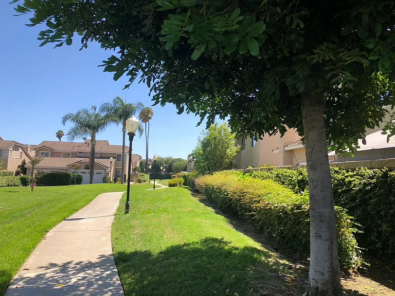 Ponderosa St — Photo 5