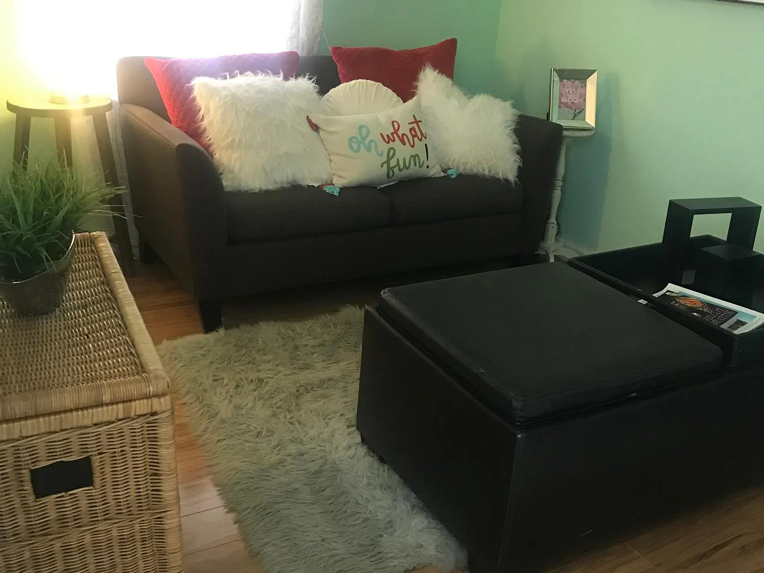 1 bed, 450 sqft, $650 — Photo 4