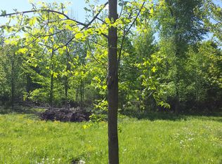 Vl Belle River, Riley, MI 48041