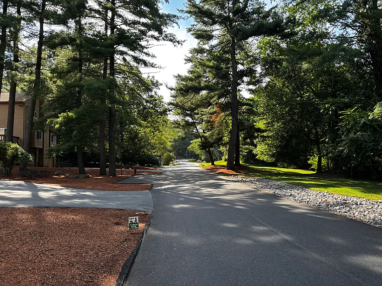 Pine Lake Community