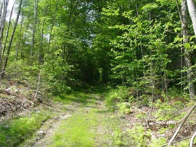2nd image of 000 Leavitt (old Bean) Road
