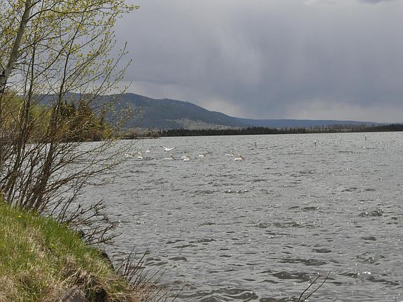 4th image of 3840 Highway 87