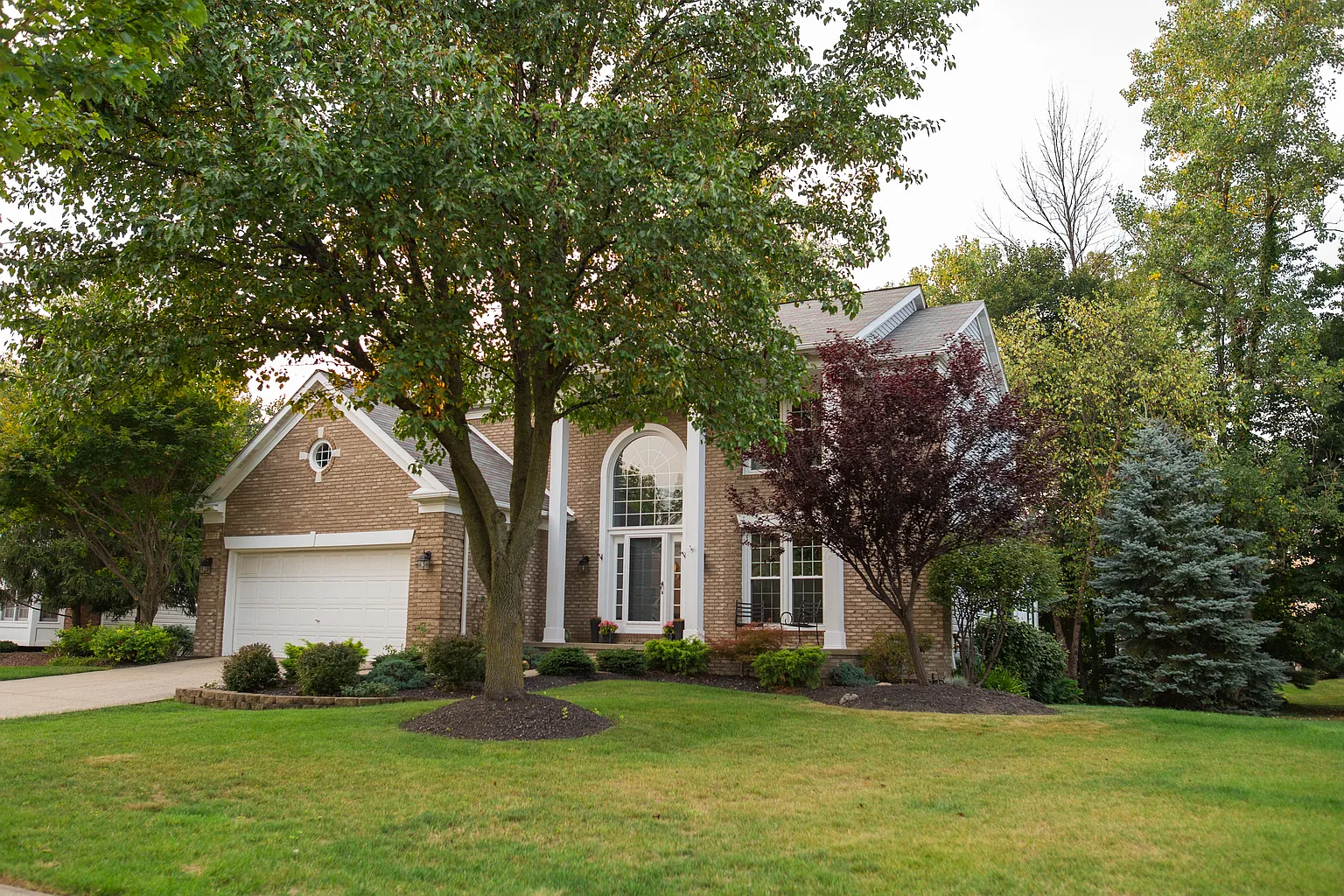 20172 Ellsworth Dr photo 1