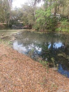 11751 SE 197th Pl, Dunnellon, FL, 34431