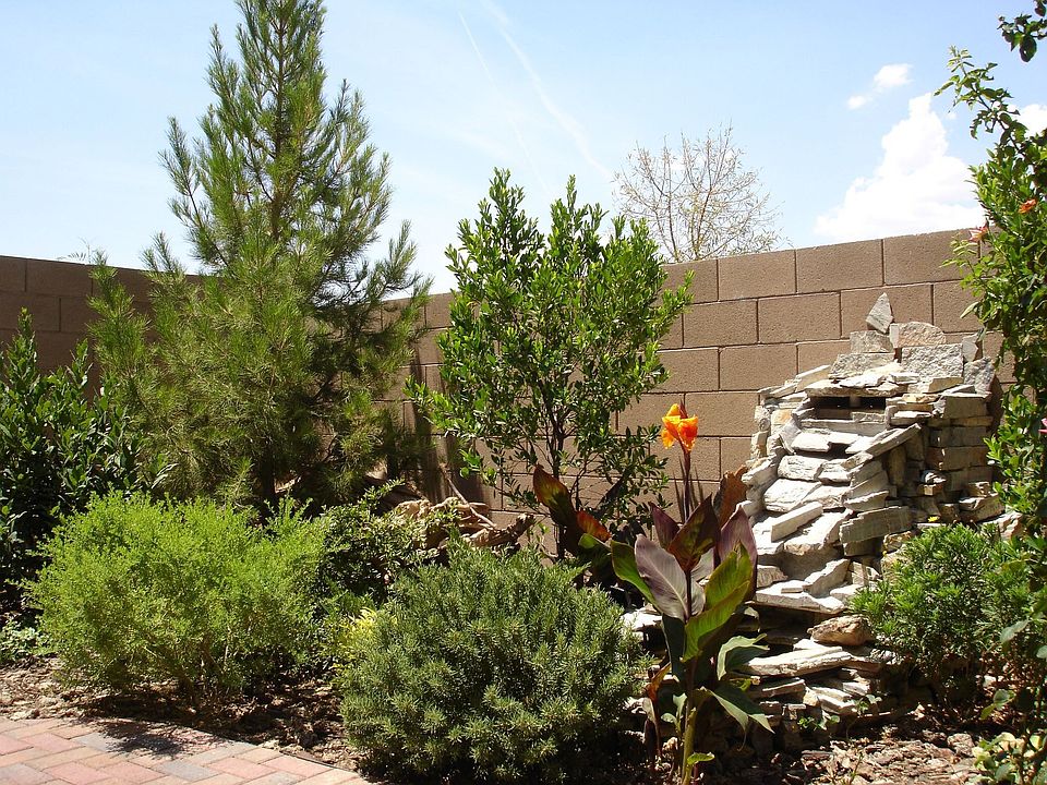 Oasis Backyard with waterfall