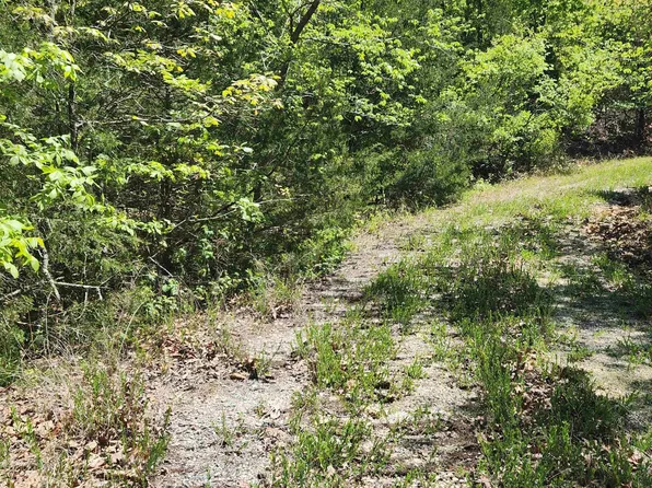 L 65 B Kayenta Cir #1, Cherokee Village, AR 72529