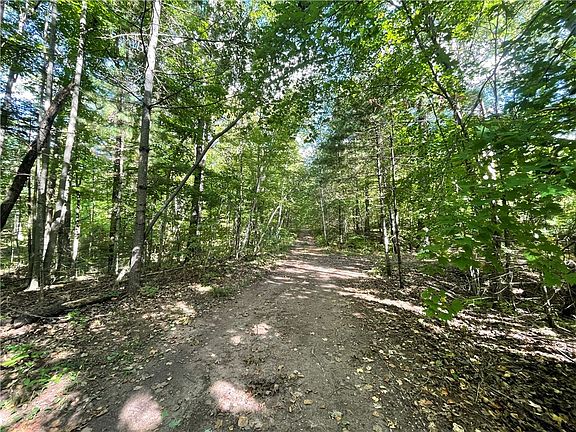 3rd image of 6091 N Rocky Point Lane