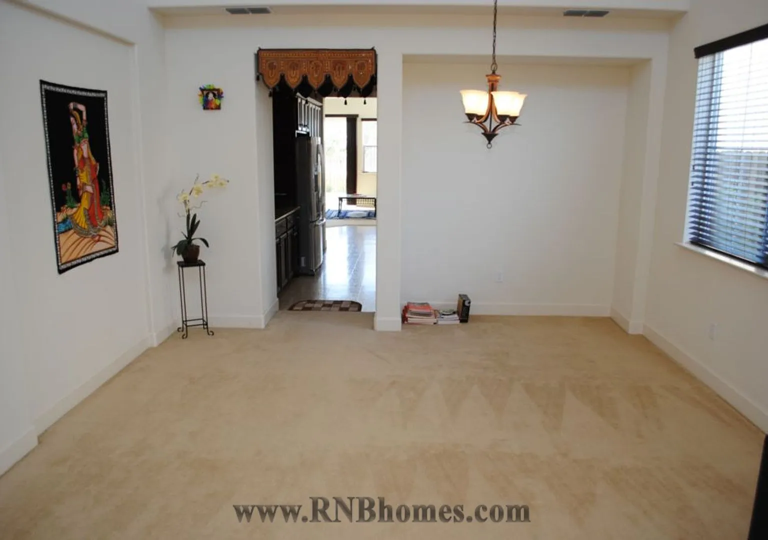 Indian Runner Drive 1367 — Photo 4