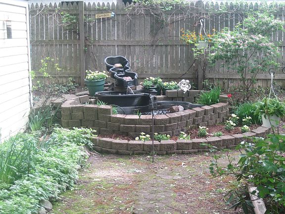 calming pond