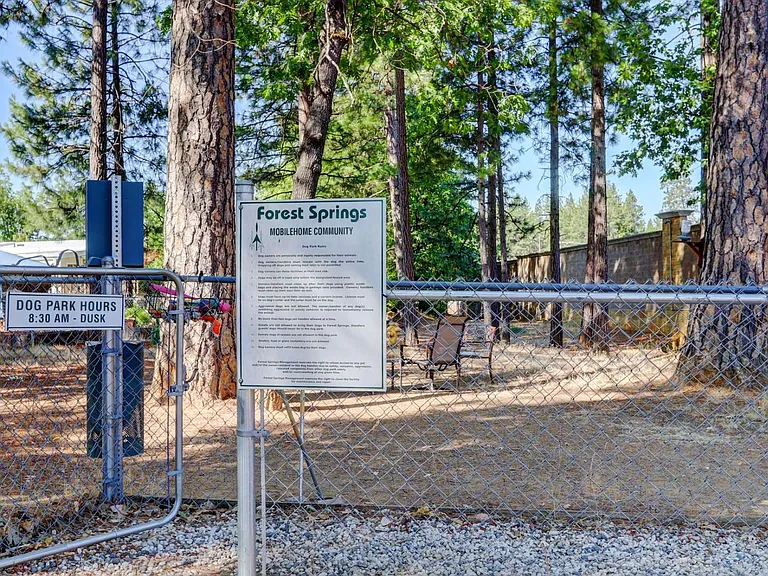 Forest Springs — Photo 20