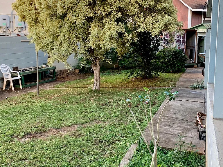 Shared backyard