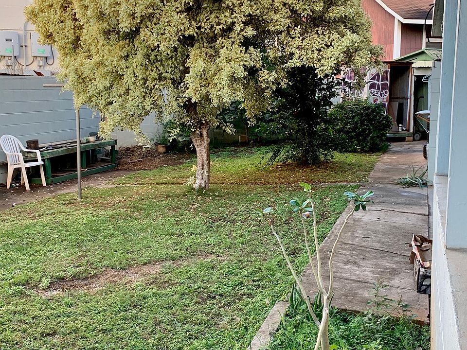 Shared backyard