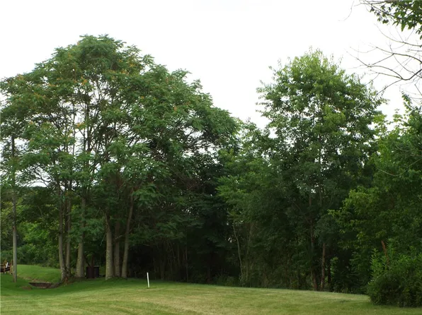 Vacant Madison Avenue Lots, Brownsville, PA 15417