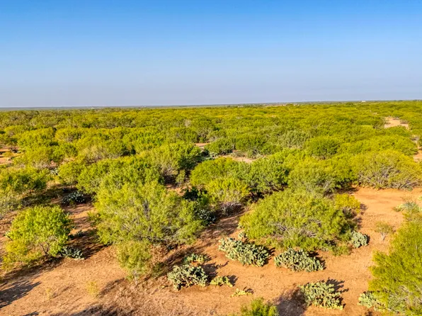 TBS Cr 331, Jourdanton, TX 78026