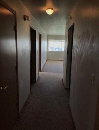 3rd image of 4797 Audrey Ct APT 3