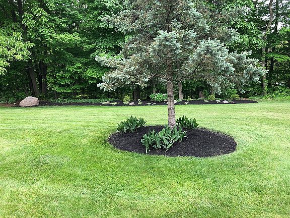 3rd image of 821 Oakbrook Dr