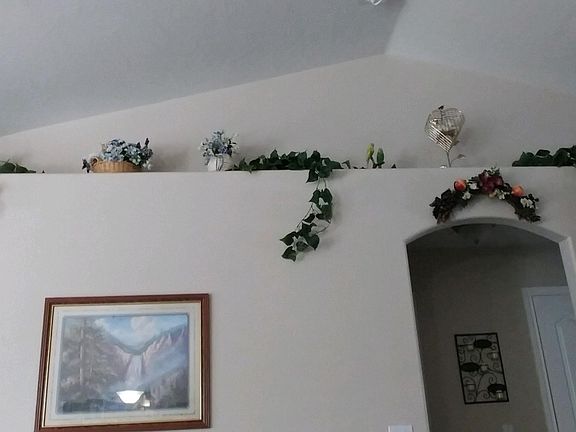 Living Room plant shelves