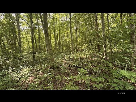 3rd image of 14500 Wolfe Rd