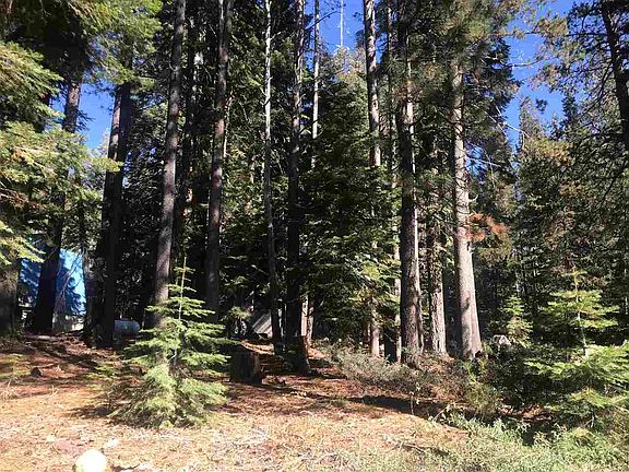 5th image of 50912 Jeffery Pine Dr