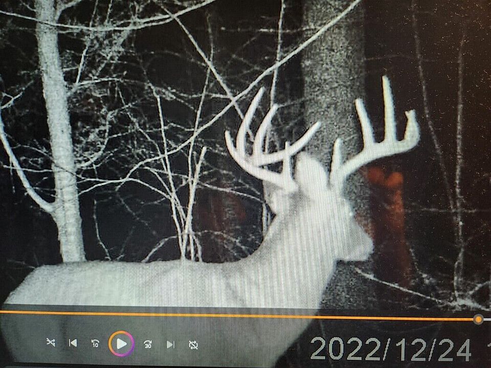 1st image of 0 Bailey Chapel Rd