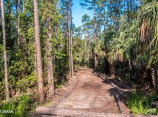 7 Remington Rd LOT 1, Ormond Beach, FL 32174