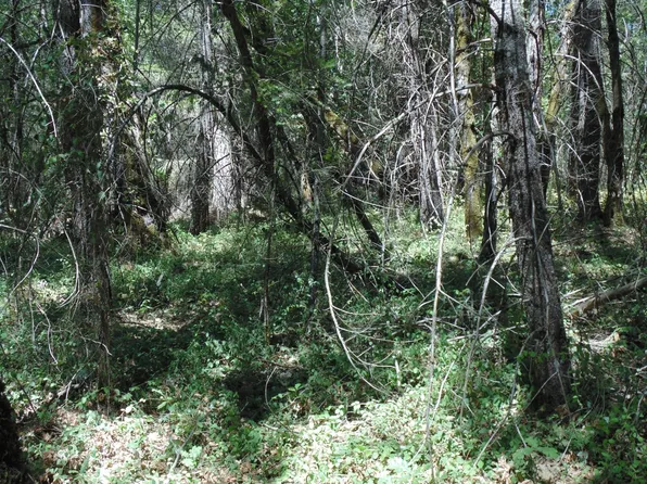 Acre 1 Andy Wolf, Garden Valley, CA 95633