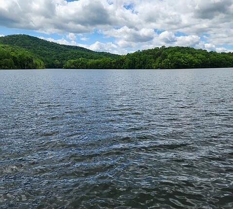 4th image of 431 Powell Valley Marine Rd