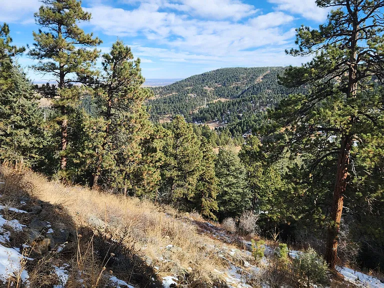 We are nestled in the foothills of Colorado, this is the view from Cody Park Road, our neighborhood!