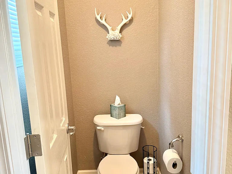 Primary bath water closet