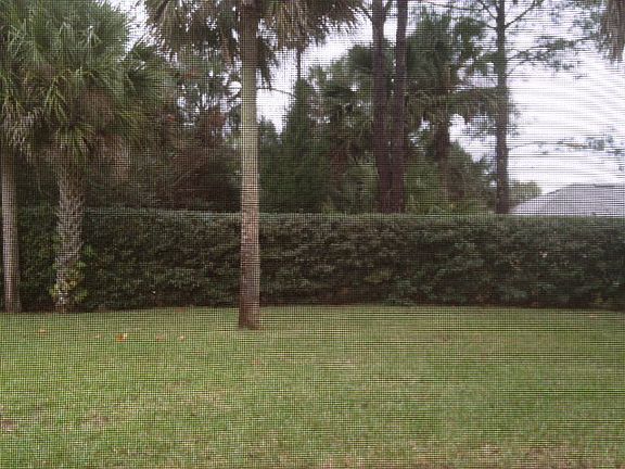 2nd image of 43 Pritchard Dr