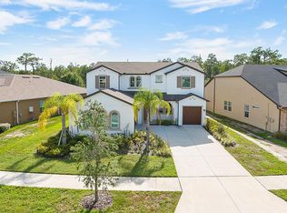 18204 Leafmore St, Lutz, FL 33548