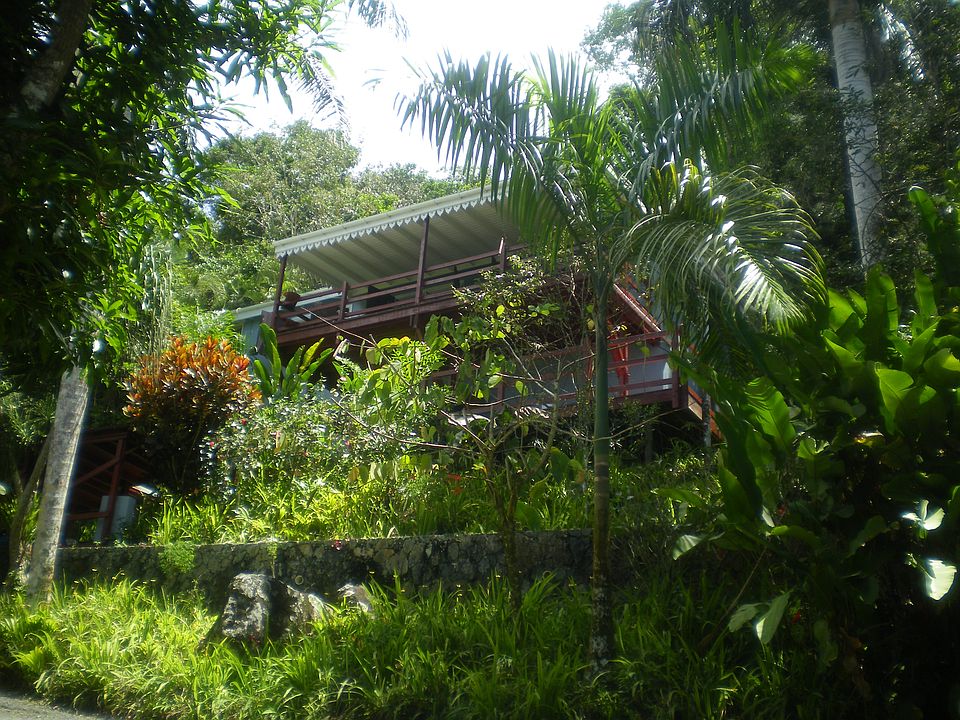 The house 