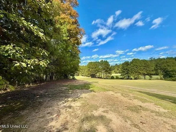 Milltownte Dr, Wesson, MS 39191