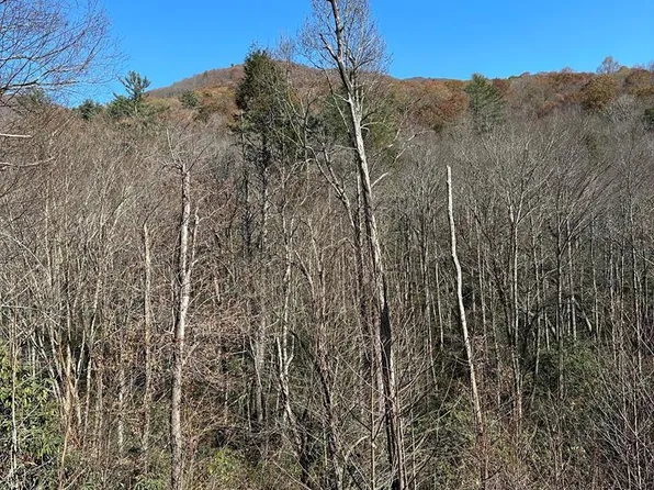 Lt 67 Willow Court, Sapphire, NC 28774