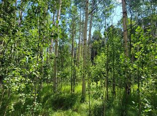 124 Summit Rd, Lake George, CO 80827