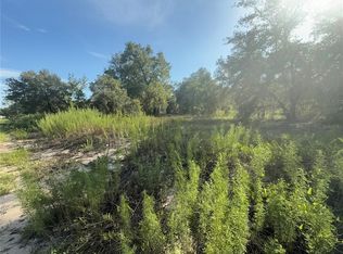 SW Winding Hills Rd LOT 12, Dunnellon, FL 34431