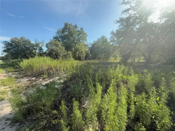 SW Winding Hills Rd Lot 12, Dunnellon, FL 34431
