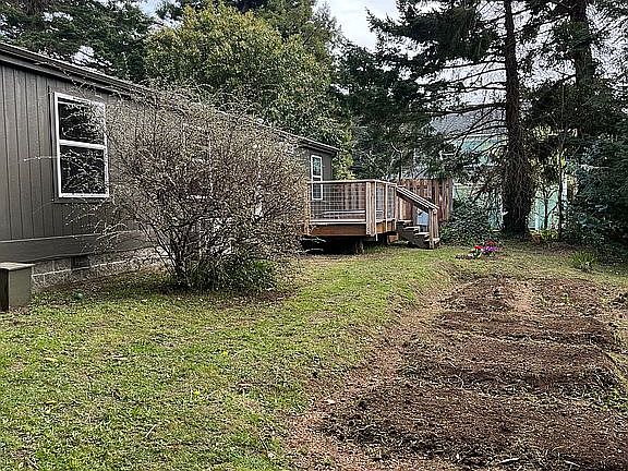 Organic garden/back of home
