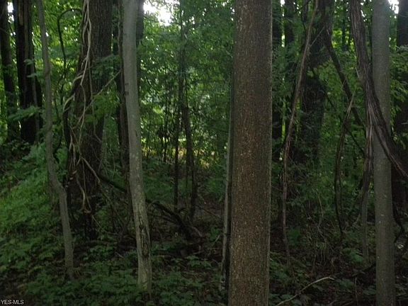 5th image of 12550 Barfield Dr