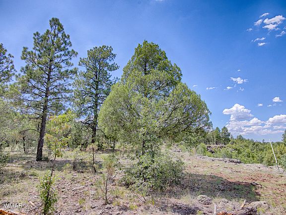 3rd image of N Canyon Creek Trl