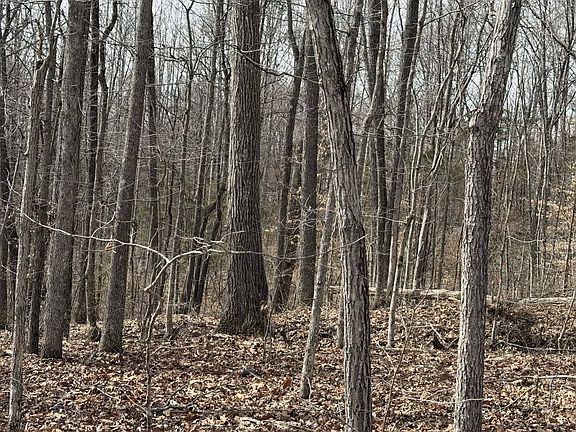 3rd image of 4 Malone Ridge Rd