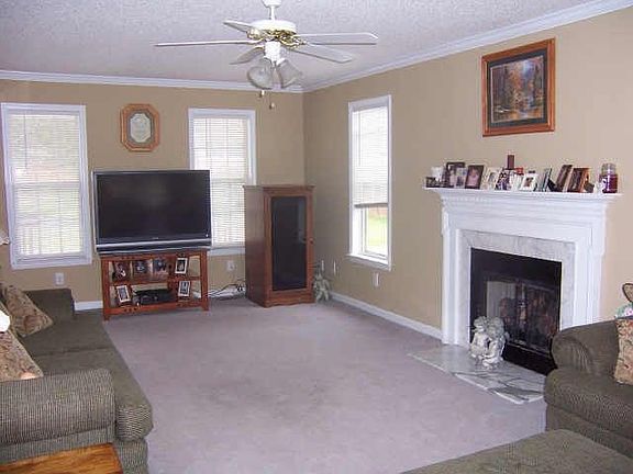 Gas Logs, new carpet
