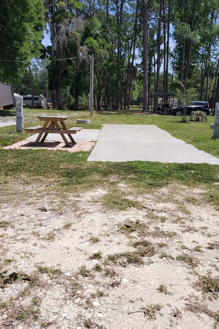 41 Cattail Ln — Photo 1