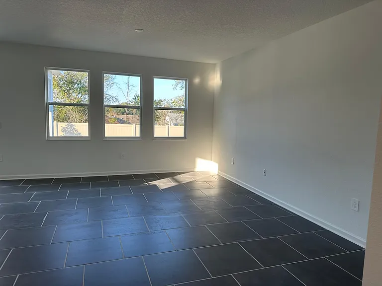 Feathergrass Cir — Photo 6