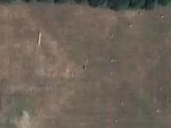 0000 Fr 227, Rogersville, MO 65742